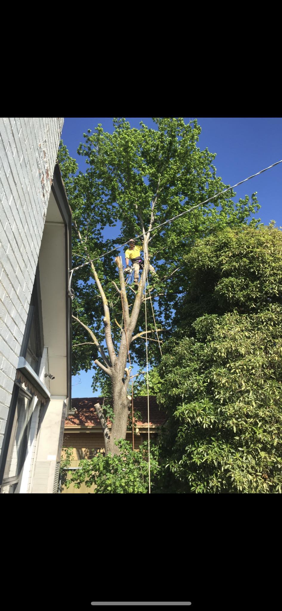 Stump grinding equipment